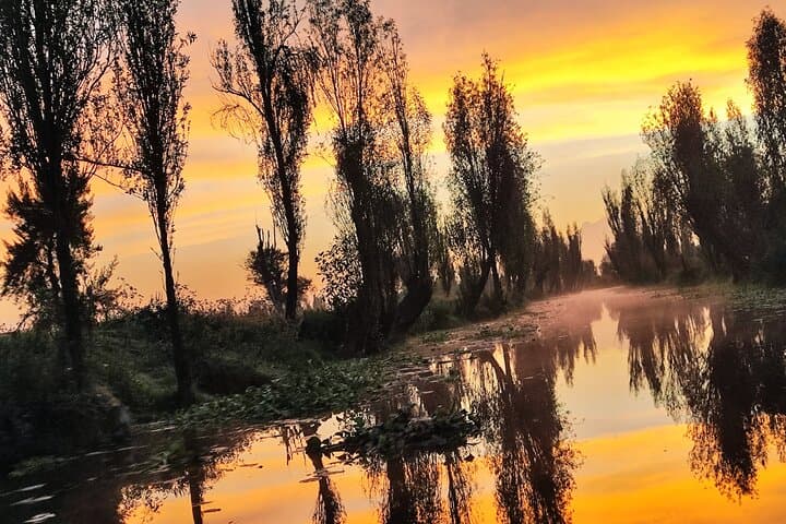 Xochimilco Dawn Canoe & Organic Chinampa Breakfast Experience photo 3