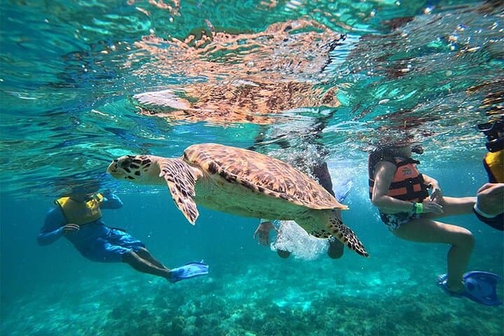 Drive a Speedboat and Snorkel Ángel Reef — Cancun Lagoon Adventure photo 3