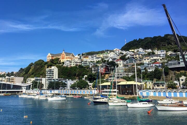 Wellington Heritage Explorer: Cable Car, Old St Pauls & Historic Pub Lunch photo 4