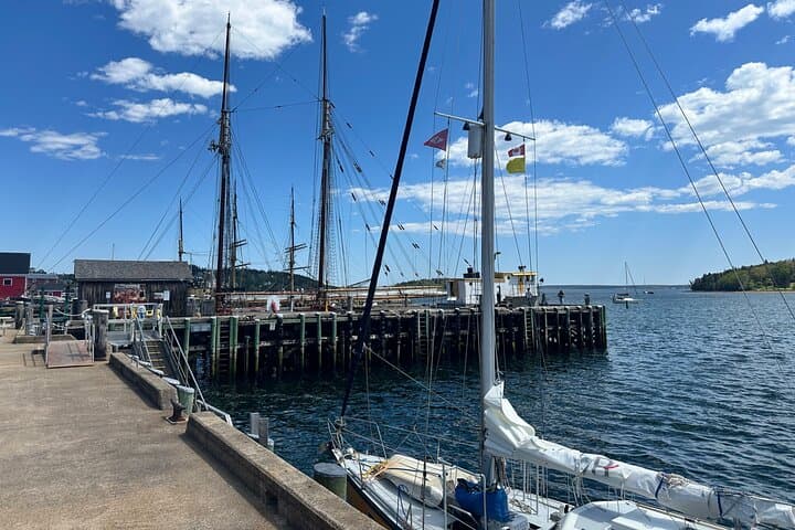 South Shore Highlights: Peggy’s Cove, Mahone Bay, Lunenburg & Ovens Natural Park Day Tour photo 5