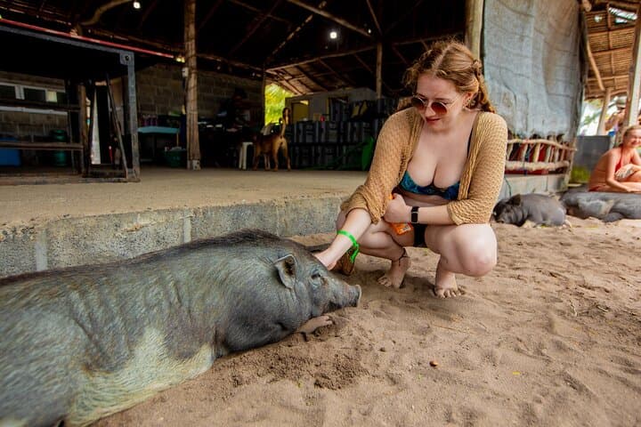 Koh Samui Pig Island & Koh Tan Snorkeling Private Longtail Boat Trip photo 3