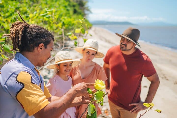 Daintree Walkabout: Half-Day Ngana Julaymba Dungay Cultural Walk with Kuku Yalanji photo 4