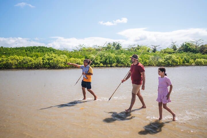 Daintree Walkabout: Half-Day Ngana Julaymba Dungay Cultural Walk with Kuku Yalanji