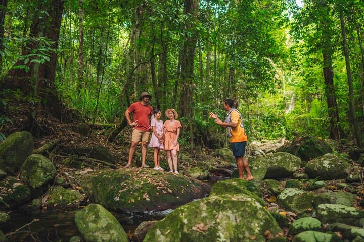 Daintree Walkabout: Half-Day Ngana Julaymba Dungay Cultural Walk with Kuku Yalanji photo 5