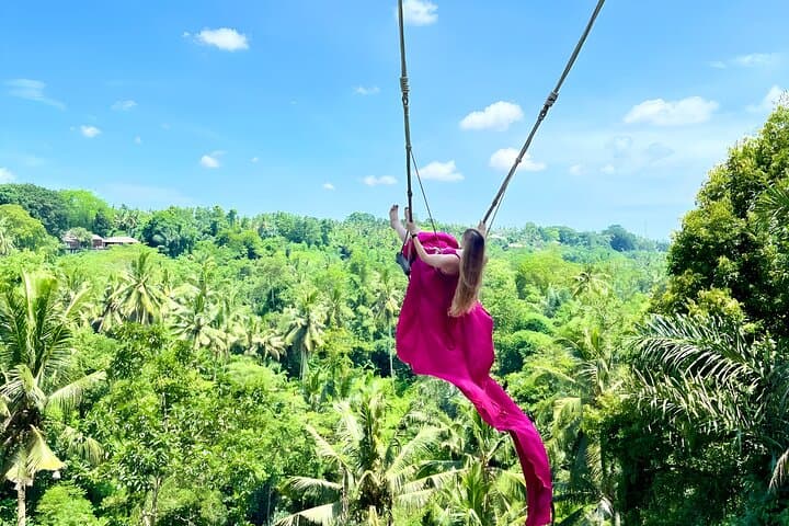 Bali Beji Waterfall & Jungle Swing: Private Day Tour from Ubud