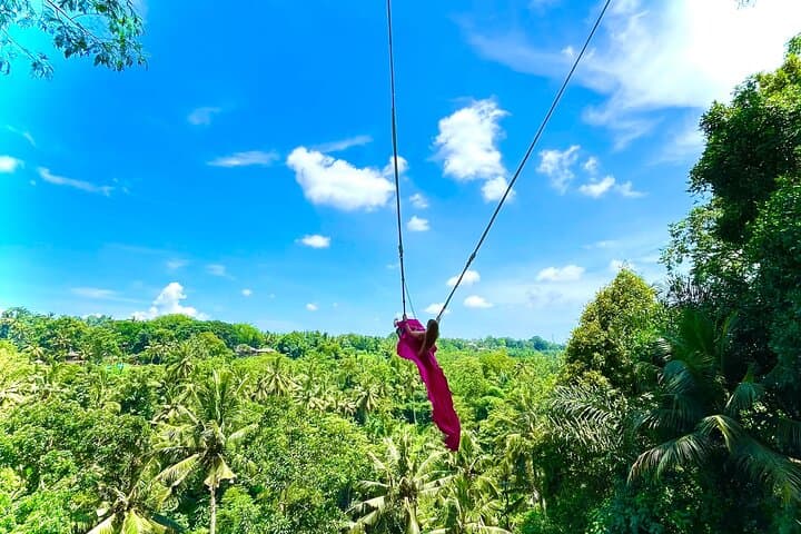 Bali Beji Waterfall & Jungle Swing: Private Day Tour from Ubud photo 4