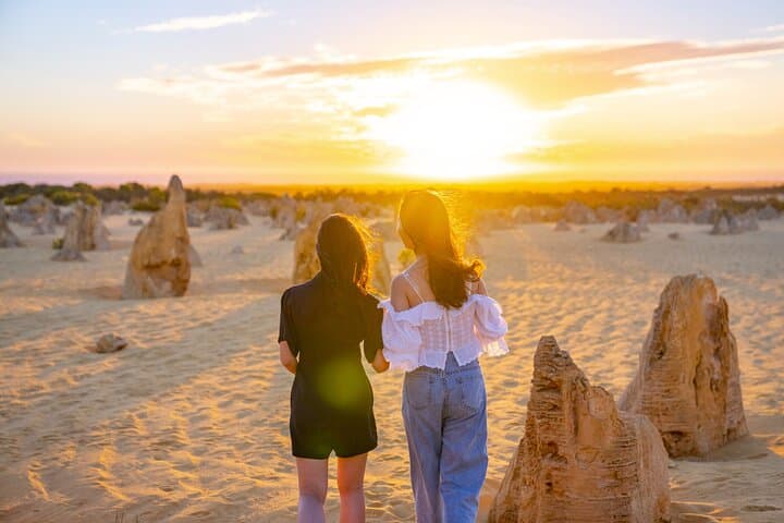 Pinnacles Desert Lobster Tour from Perth: Pinnacles, Koalas & Lobster Shack Day Trip