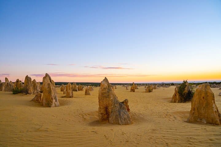 Pinnacles Desert Lobster Tour from Perth: Pinnacles, Koalas & Lobster Shack Day Trip photo 2