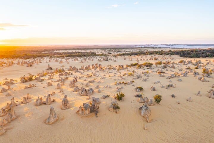 Pinnacles Desert Lobster Tour from Perth: Pinnacles, Koalas & Lobster Shack Day Trip photo 4