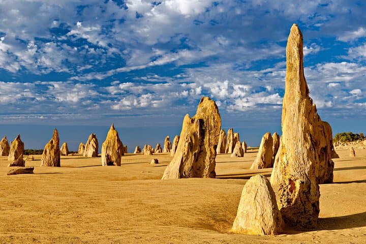 Pinnacles Desert Lobster Tour from Perth: Pinnacles, Koalas & Lobster Shack Day Trip photo 6