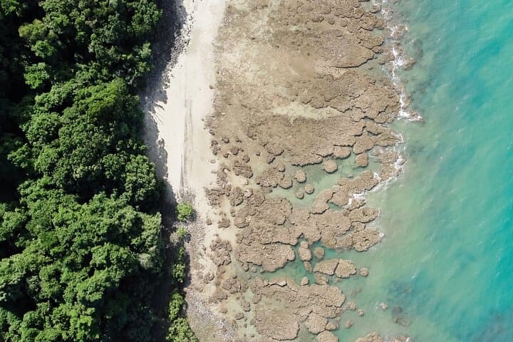 Daintree to Cape Tribulation: Kuku Yalanji Guided Rainforest-to-Reef Cultural Day Tour photo 3