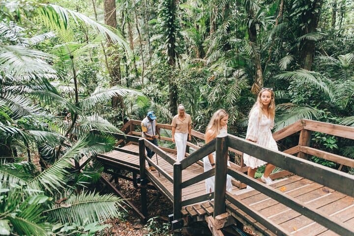 Daintree to Cape Tribulation: Kuku Yalanji Guided Rainforest-to-Reef Cultural Day Tour photo 4