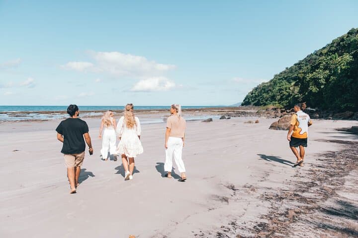 Daintree to Cape Tribulation: Kuku Yalanji Guided Rainforest-to-Reef Cultural Day Tour photo 6