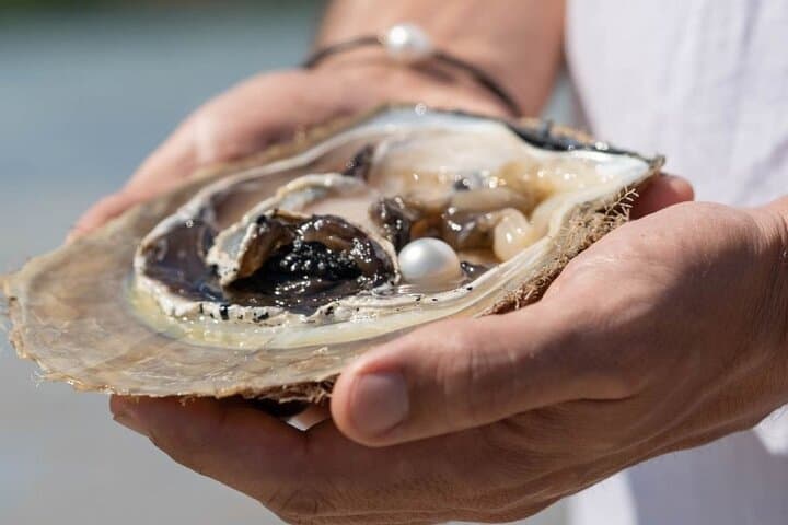 Treasures of Broome: Pearling, Art & Cable Beach Sunset Tour photo 3