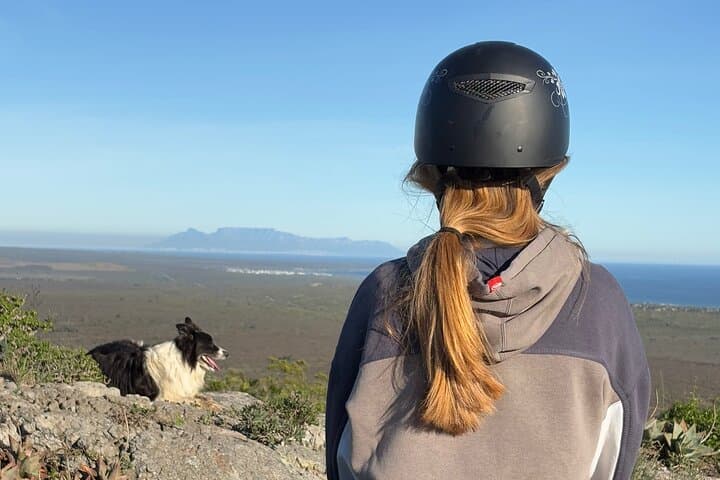 West Coast Horseback Ride from Cape Town — Wildflowers, Table Mountain Views photo 2