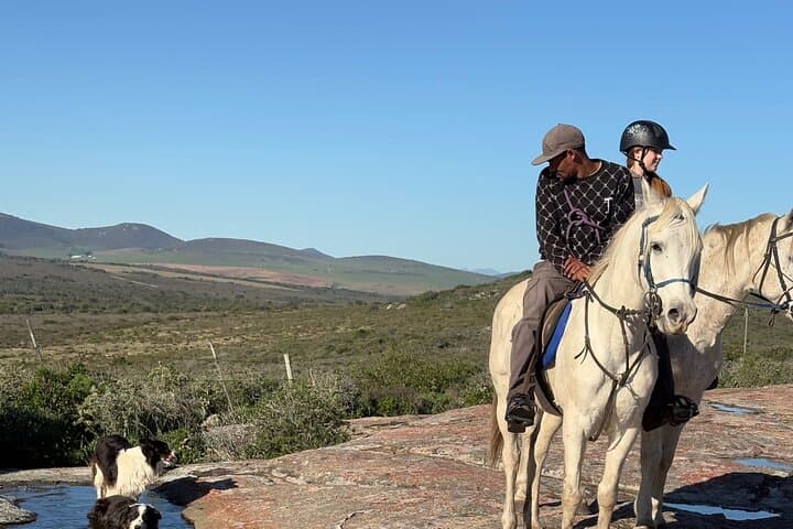 West Coast Horseback Ride from Cape Town — Wildflowers, Table Mountain Views photo 3
