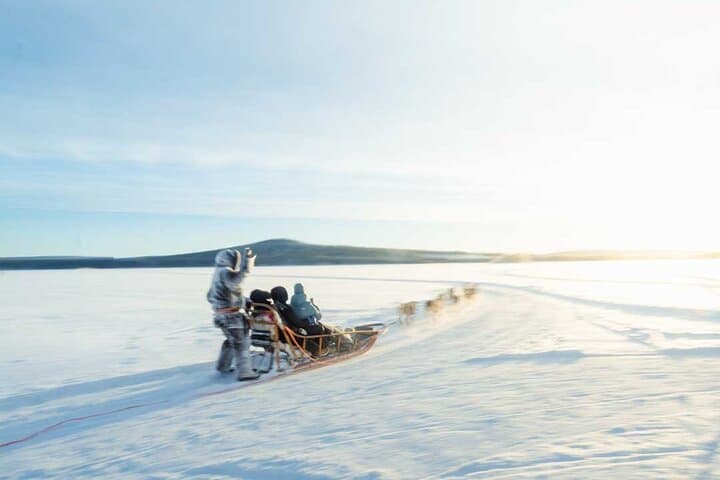 Rovaniemi Husky Self-Drive: 10 km Arctic Sled Safari photo 2