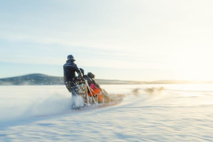 Rovaniemi Husky Self-Drive: 10 km Arctic Sled Safari photo 5