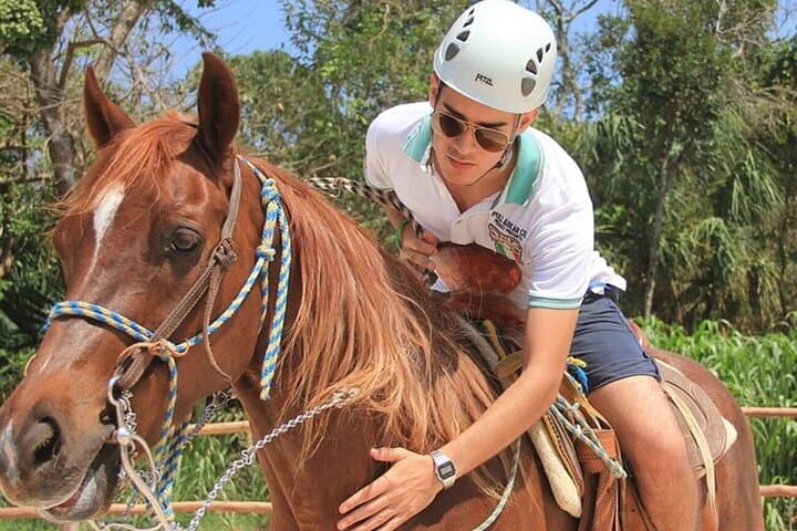 Tulum Jungle Horseback, Cenote & Akumal Turtle Snorkel — Full-Day Eco Adventure photo 3