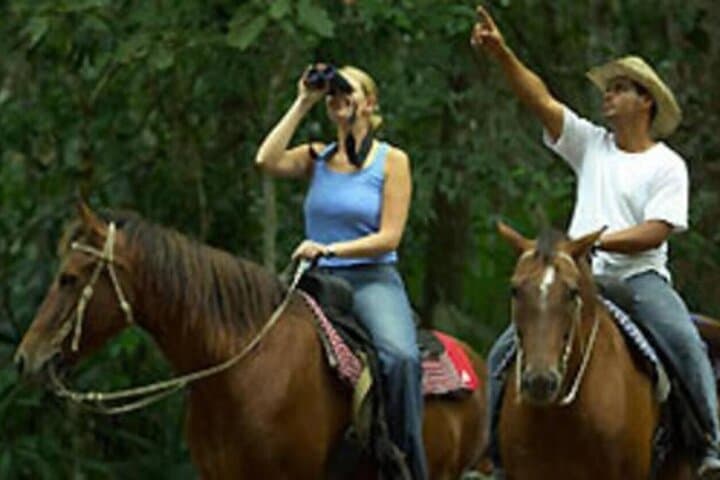 Tulum Jungle Horseback, Cenote & Akumal Turtle Snorkel — Full-Day Eco Adventure photo 1