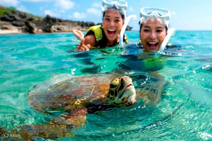 Tulum Cenote Swim & Turtle Turtle Snorkel with Ruins Visit — Half-Day Tour photo 4