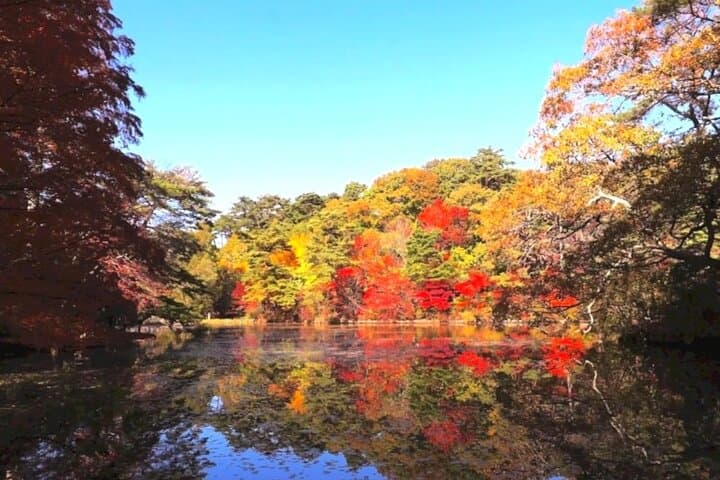 Kobe Day Trip from Osaka: 10-Hour Private Chartered Tour to Rokko, Arima & Harbor photo 6