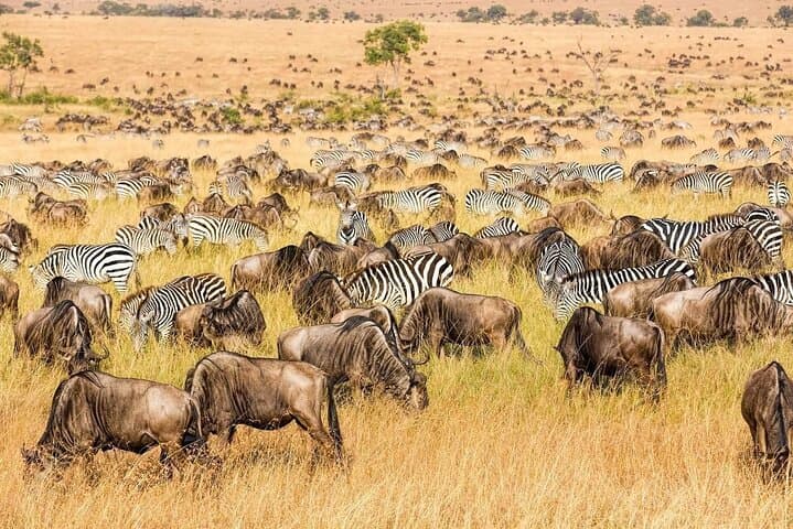 Crescent Island & Lake Nakuru: 2-Day Private Safari from Nairobi photo 2