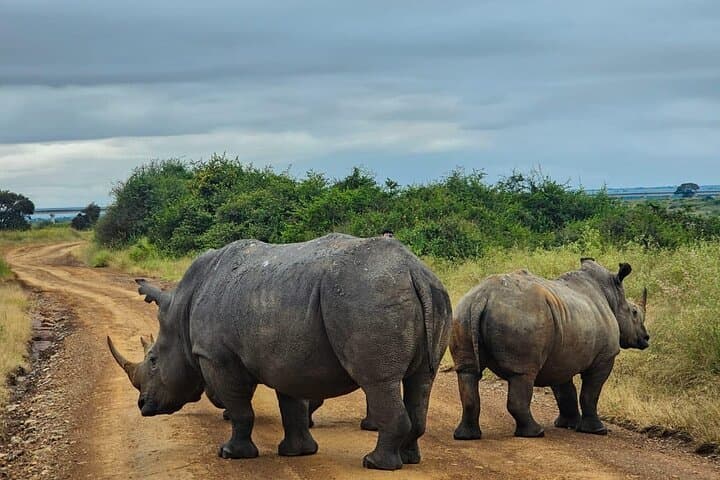 Crescent Island & Lake Nakuru: 2-Day Private Safari from Nairobi photo 4