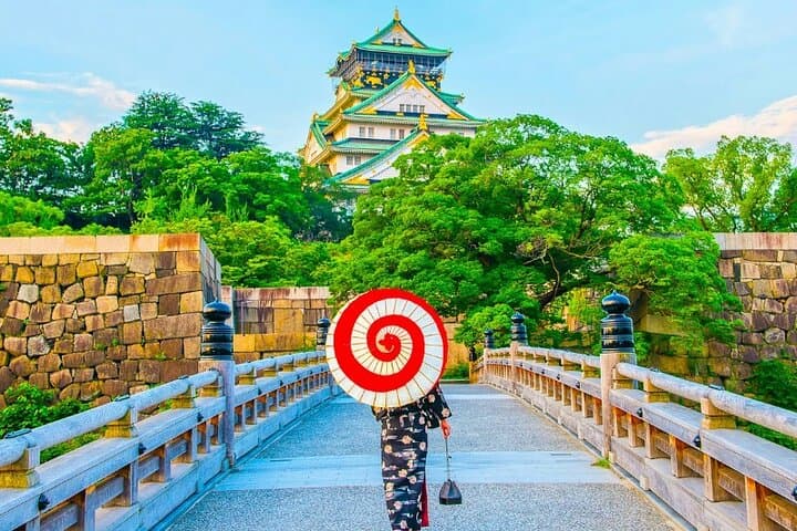 Private 10‑Hour Chartered Day Tour in Osaka — Castle, Market & Aquarium photo 3