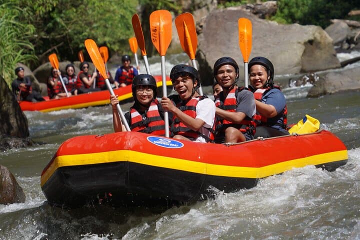Ubud Private Rafting on the Ayung River — 2‑Hour Whitewater Adventure from Ubud, Bali photo 5