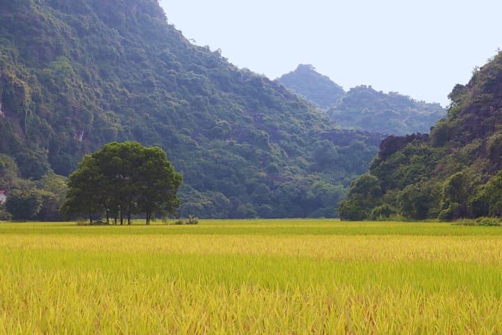 Glide Through Ninh Binh: E-Bike Tour of Tam Coc, Hoa Lu & Bai Dinh photo 4