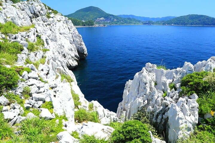 Chartered Shirahama Day Tour from Osaka — Beaches, Cliffs & Seafood