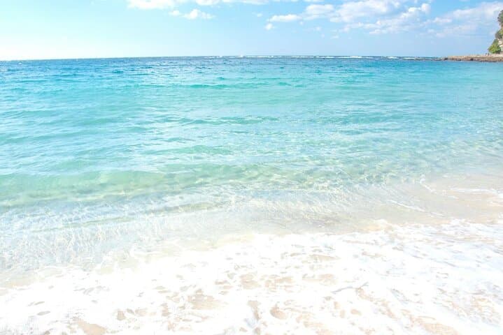 Chartered Shirahama Day Tour from Osaka — Beaches, Cliffs & Seafood photo 4