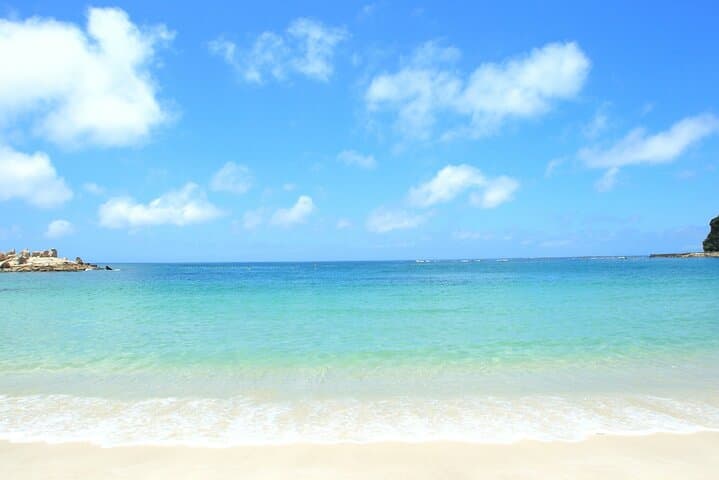 Chartered Shirahama Day Tour from Osaka — Beaches, Cliffs & Seafood photo 5