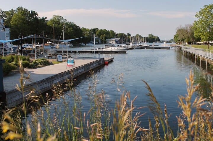 Picton Nature Self-Guided Audio Tour — Limestone Ridges, Wetlands & Harbour Walk photo 6