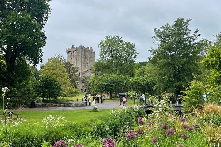 Luxury Private Day Trips from Cork City — Blarney, Kinsale & Midleton in a Mercedes photo 3