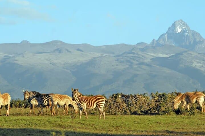 Nairobi to Mount Kenya: Full-Day Sirimon Hike to the Meteorological Station photo 3