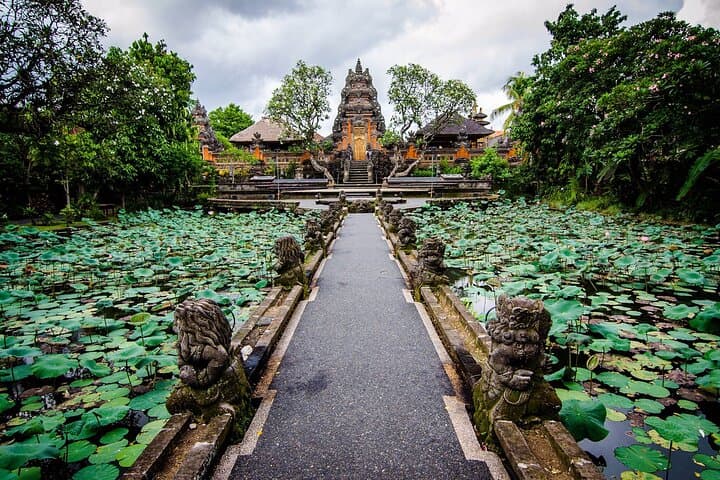 Private Ubud Day Tour: Temples, Monkey Forest, Rice Terraces & Waterfall photo 3