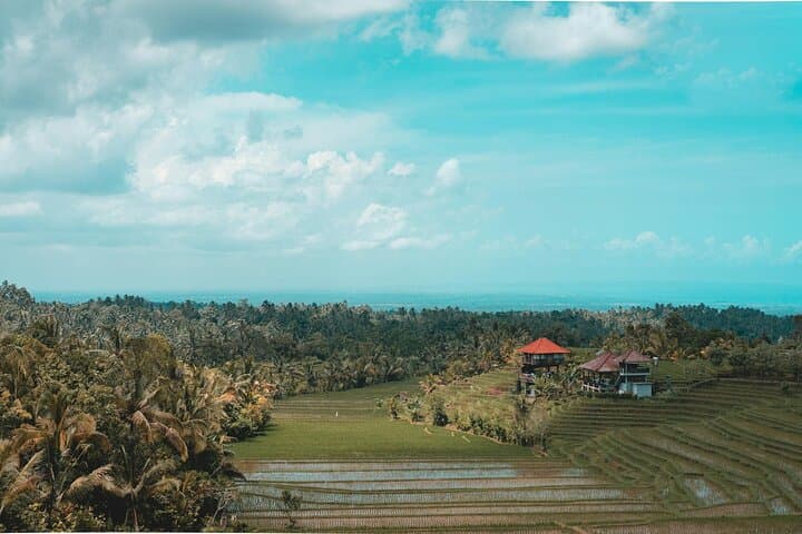 Private Ubud Day Tour: Temples, Monkey Forest, Rice Terraces & Waterfall photo 5