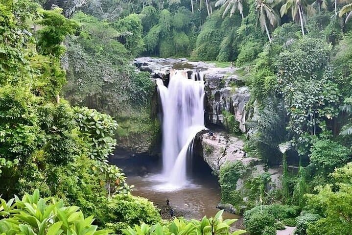 Bali in a Day: Waterfall, Mount Batur Views & Toya Devasya Hot Springs photo 3