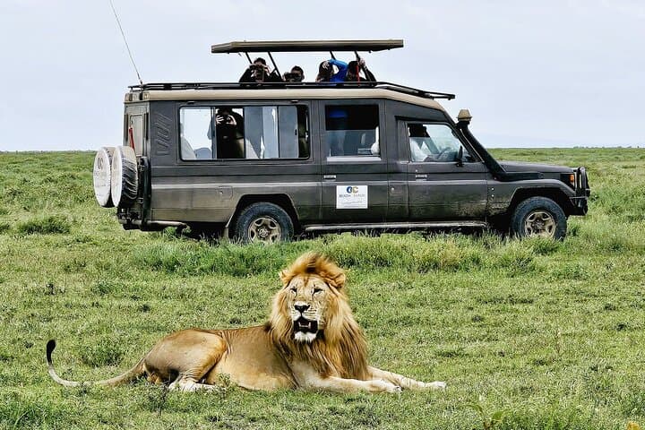 2-Day Tarangire & Lake Manyara Safari from Arusha — Elephants, Baobabs & Tree-Climbing Lions photo 5