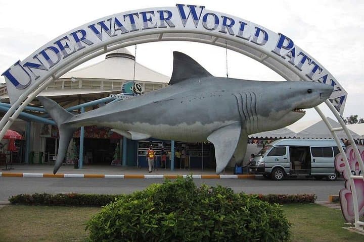 Underwater World Pattaya — 100m Glass Tunnel, Touch Pools & Marine Zones photo 1