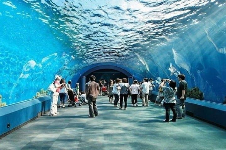 Pattaya Underwater World Aquarium Tickets — Walk-Through Tunnel & Marine Exhibits photo 2