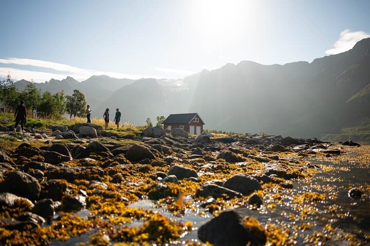 Private Fjord Hiking Tour and Midnight Sun BBQ from Tromsø photo 2
