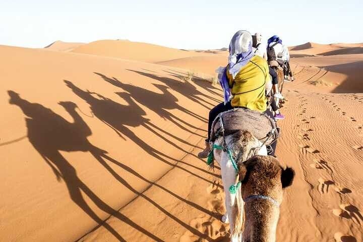 Hurghada Desert Quad Biking & Bedouin Camel Ride Safari photo 6