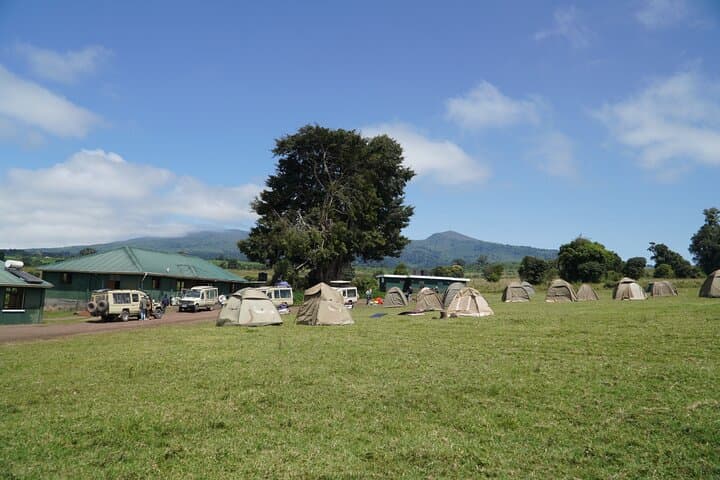 4-Day Serengeti, Ngorongoro & Tarangire Safari: Big Five Game Drives from Arusha photo 4