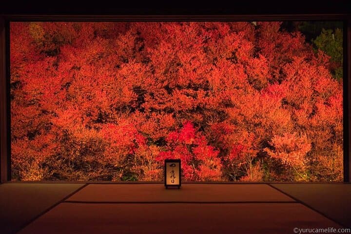 Kinosaki Onsen & Temple Retreat: 2-Day Cultural Onsen Escape from Osaka photo 3