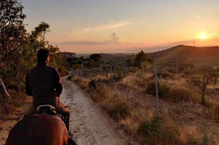 Cagliari Panoramic Horseback Riding in Sette Fratelli Park