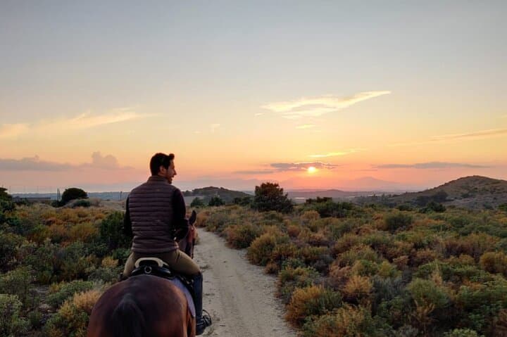 Cagliari Panoramic Horseback Riding in Sette Fratelli Park photo 3