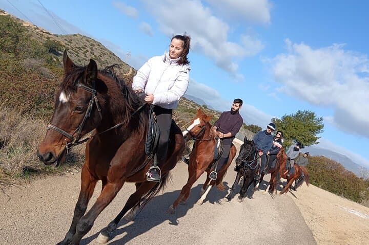 Cagliari Panoramic Horseback Riding in Sette Fratelli Park photo 2